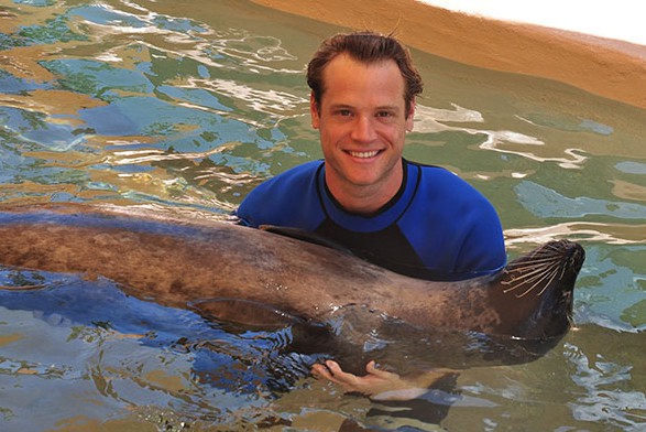 Nadar com focas em Miami