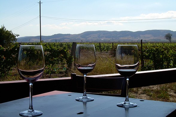 Três taças de vinho estão sobre uma mesa de madeira. Ao fundo se vê um vinhedo de Sonoma, na Califórnia