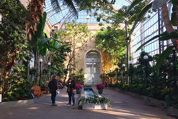 United States Botanic Garden, em Washington D.C.