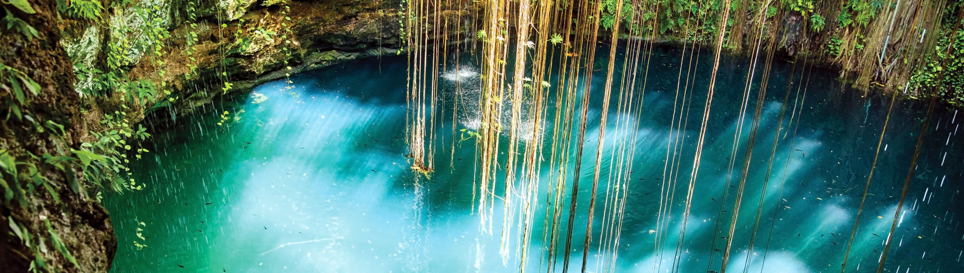 Cenotes e Paradise Lagoon: